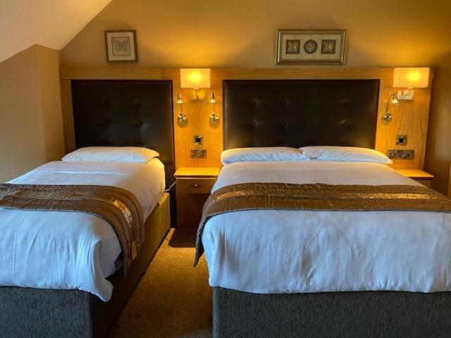 Tailors Lodge, Continental Breakfast Касълайлънд Екстериор снимка